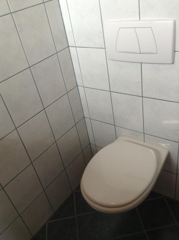 Haus Elsa Apartment Рамзау ам Дахщайн Стая снимка